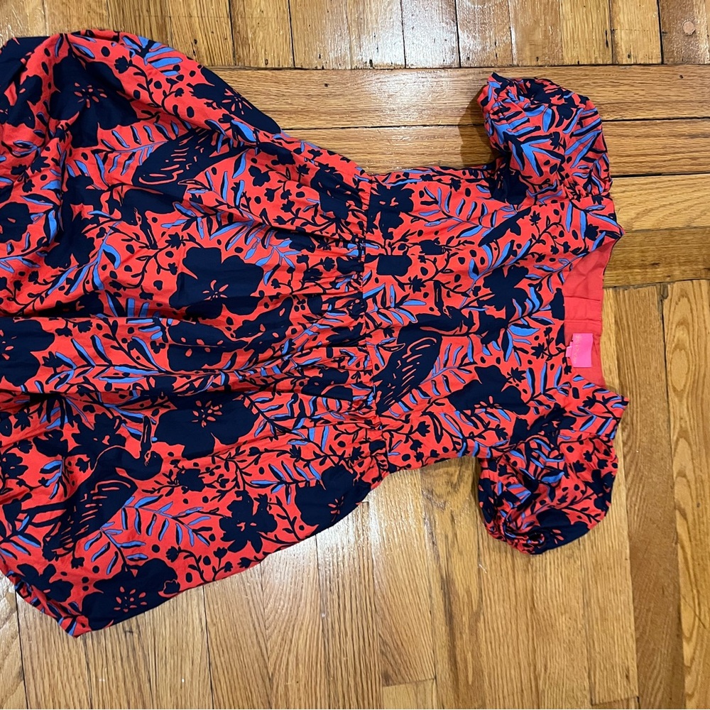 Lilly Red and Blue Floral Dress